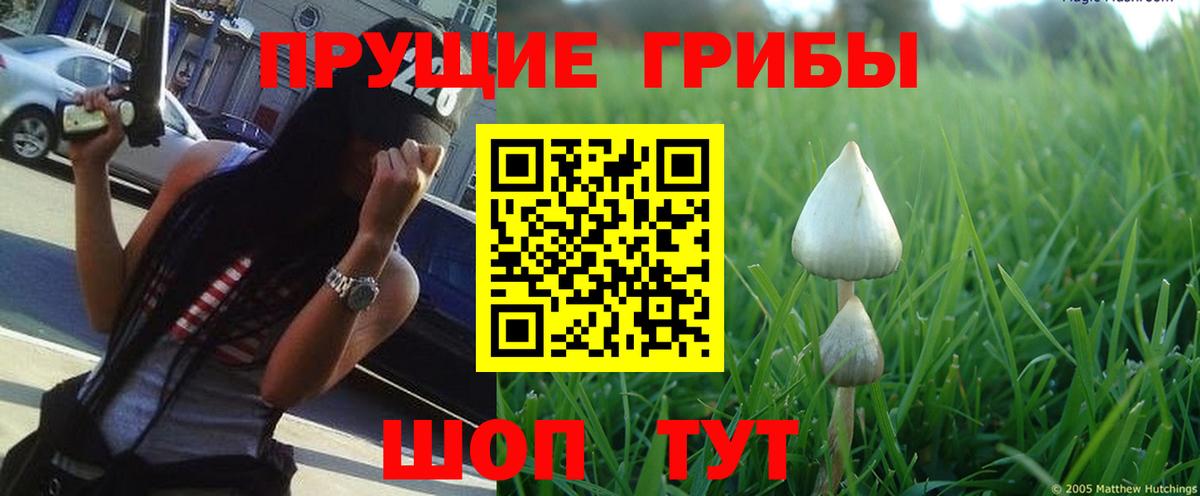 Тихвин  Псилоцибиновые грибы мицелий  Вход с VPN 