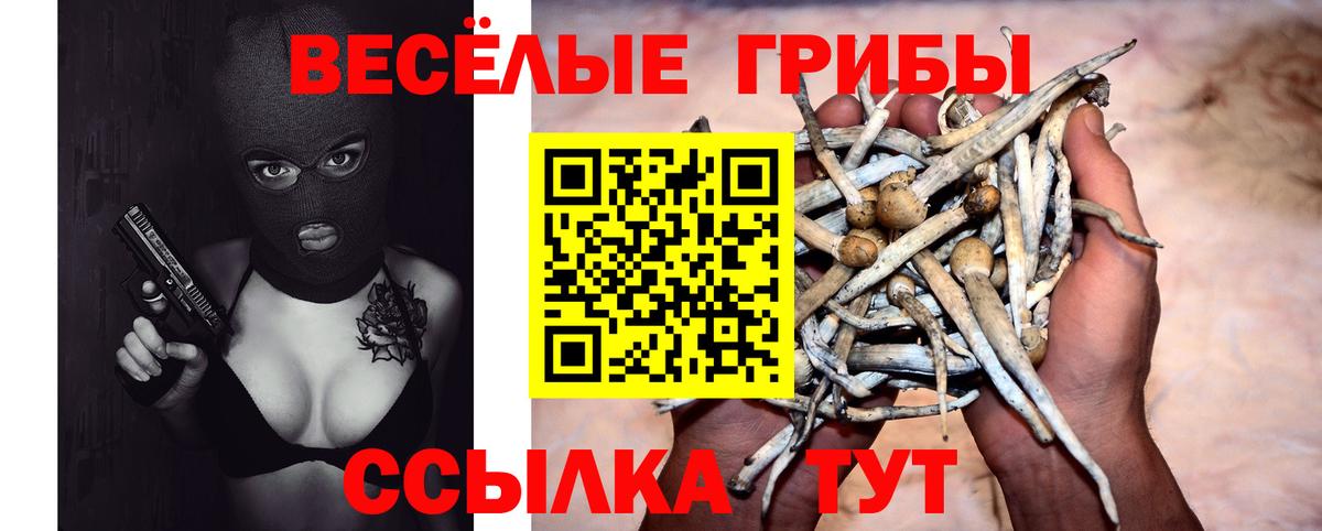 Галлюциногенные грибы прущие грибы Тихвин